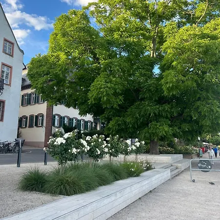 Luxurioeses 4-zimmer-apt Im Boho-stil I Top-lage I Familienfreundlich I Terrasse I Grosser Garten I Kueche I Netflix I Kostenloser Parkplatz I 105 M2 *